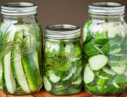 Fridge Dill Pickles